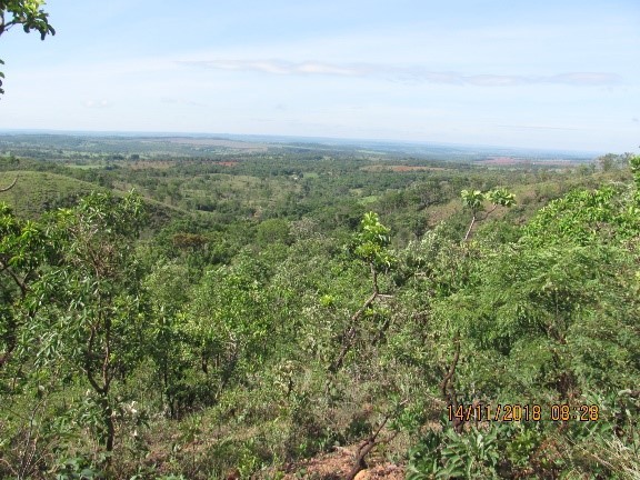 Atividades e projetos ambientais da SSA Ambiental — foto 11