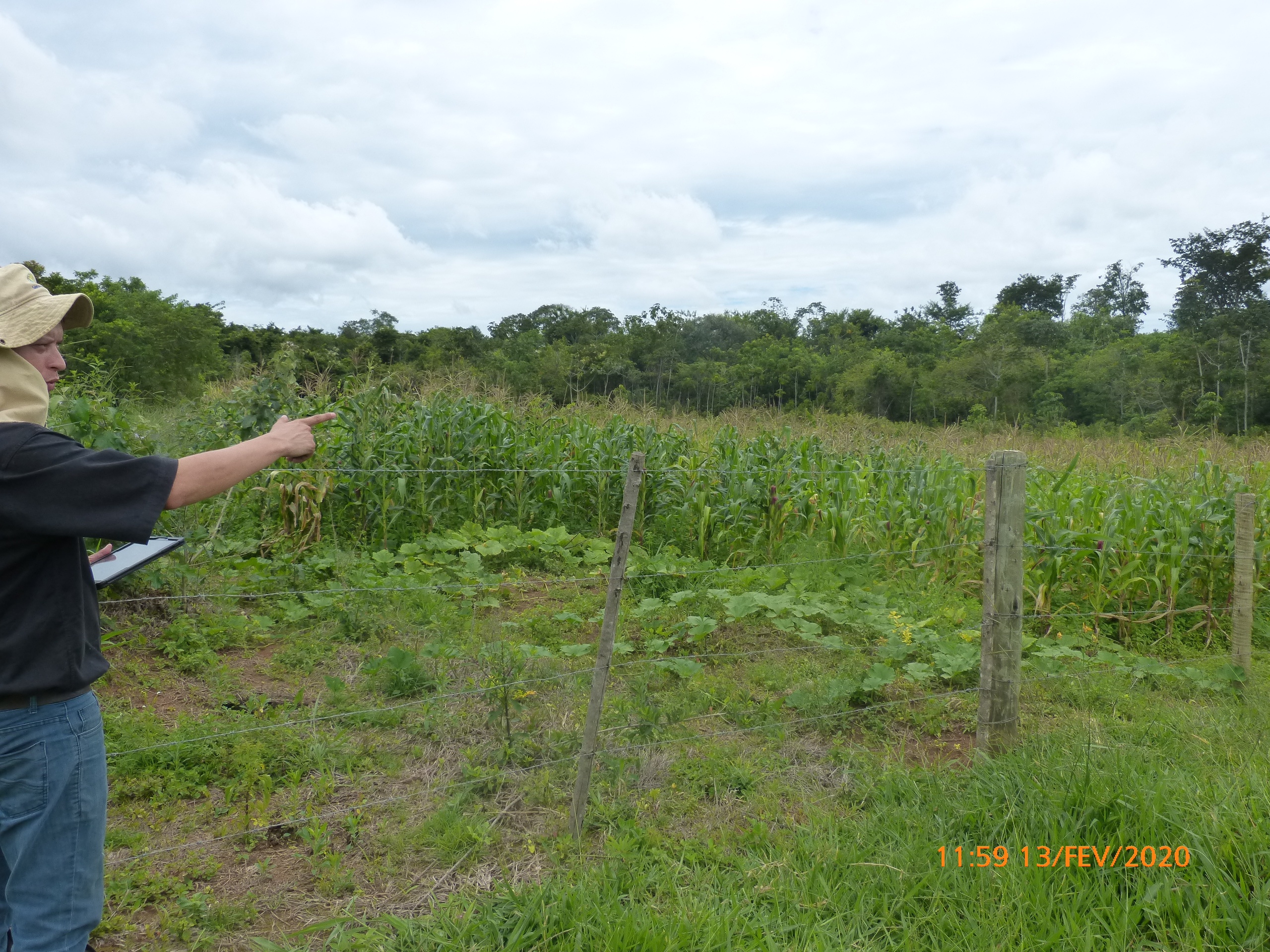 Atividades e projetos ambientais da SSA Ambiental — foto 2