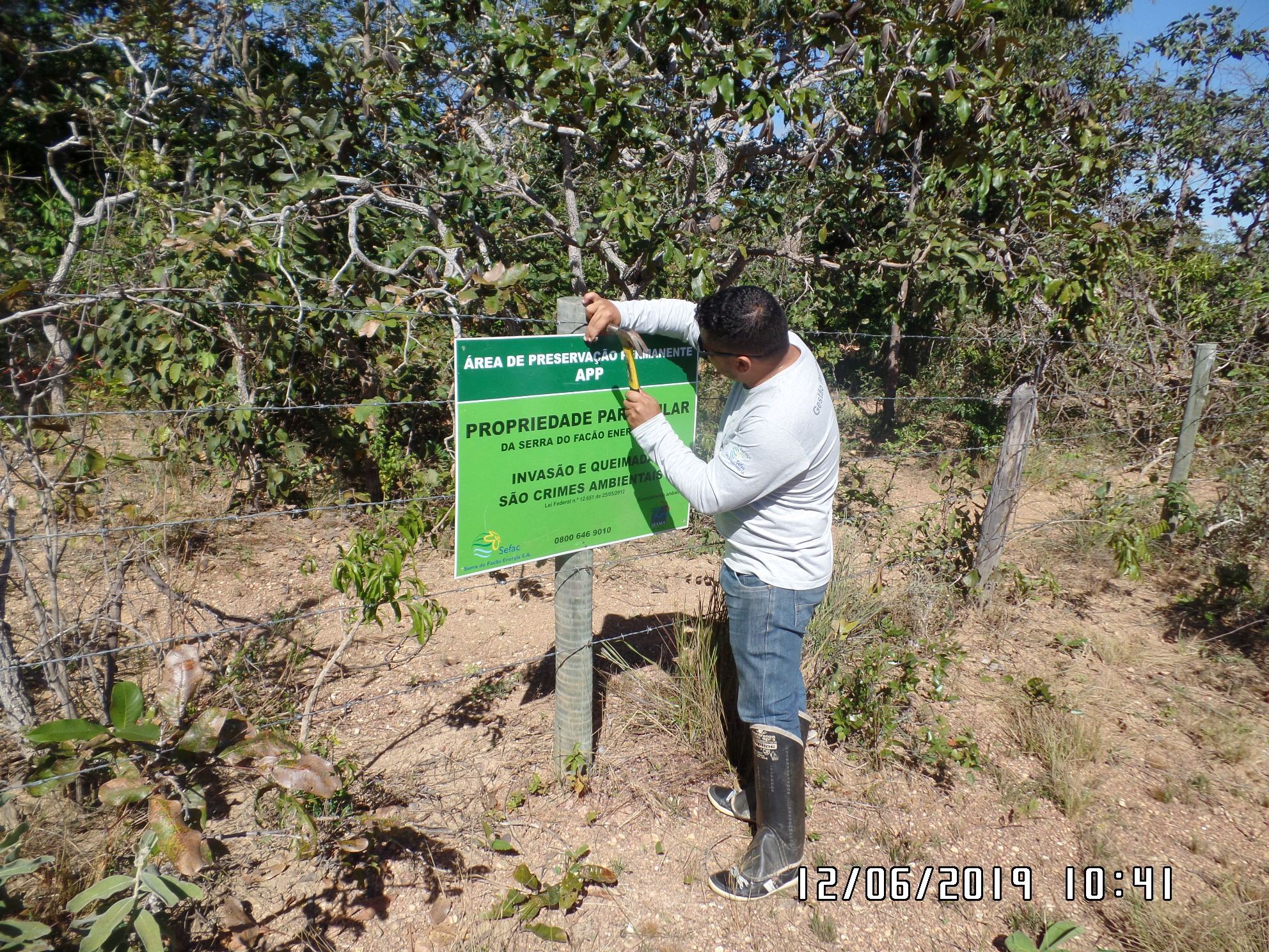 Atividades e projetos ambientais da SSA Ambiental — foto 5